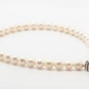 Connection, necklace with freshwater cultured pearls, with interchangeable clasp