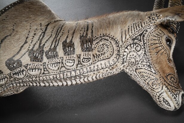 Morten Angelo. 'A Second chance'. Dekoreret water buck. Højde 130 cm