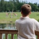 Knuthenborg Safaripark med overnatning i luksus safaritelt
