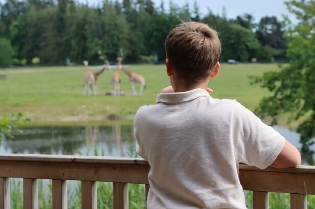 Knuthenborg Safaripark med overnatning i luksus safaritelt