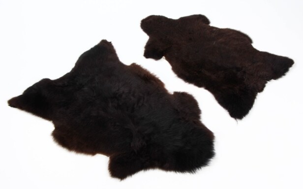 Two Swedish lambskins, brown (2)
