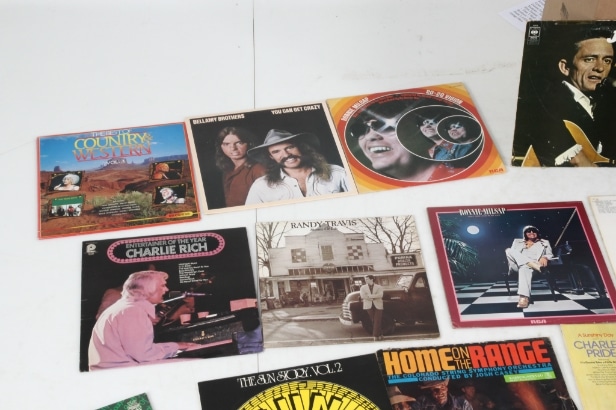 Collection Country & Western LPs / gramophone records (218)