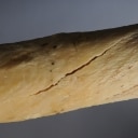Narhvalstand, L. ca. 245 cm.