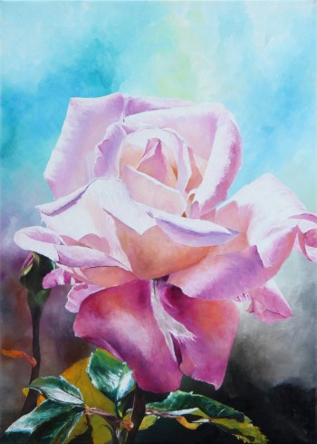 Leila Holberg, Sart rose, 64 x 46 cm