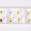 12 large pieces of polished inclusion amber from House of Amber (12)