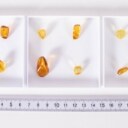 12 store stykker poleret inklusionsrav fra House of Amber (12)
