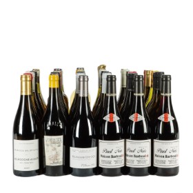 Collection of French wines (36)