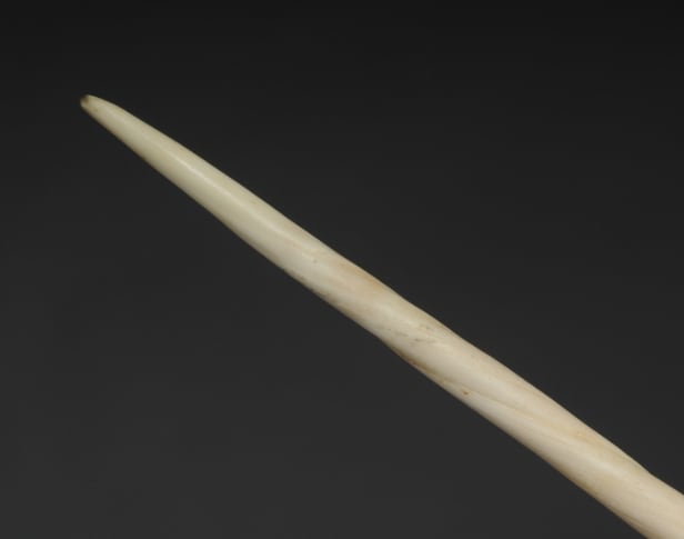 Narhvalstand, L. ca. 245 cm.