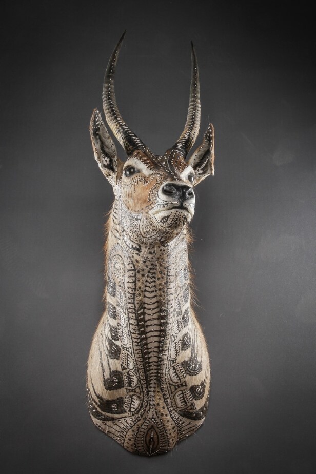 Morten Angelo. 'A Second chance'. Dekoreret water buck. Højde 130 cm