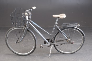 8161 - Ebsen, dame cykel