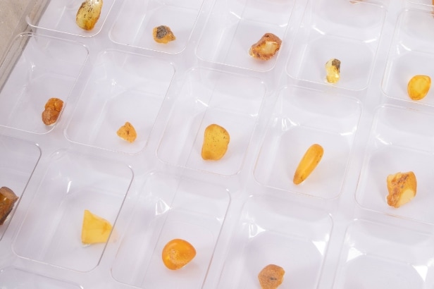 300 pieces of unpolished inclusion amber (300)
