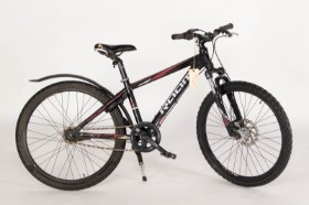 2524 Raam Mountainbike