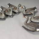 Samling lokkegæs (9)  
