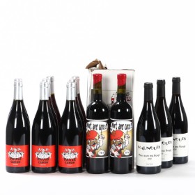 Collection of French wines, i.a. Maunoury Saumur 'Mon Nom est Rouge' etc. (18)