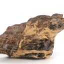 House of Amber. Verdens næststørste stykke rav. 47,56 kg.