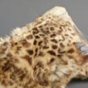 Leopard unge