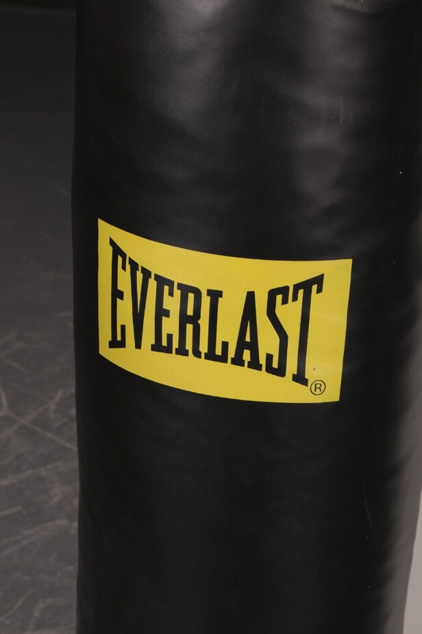 Everlast Boksehandsker og boksesæk med ophæng (3)