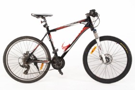 18224 Giant mountain bike