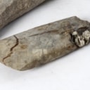 Denmark's antiquity. Collection of stone axes etc. made of flint (4)