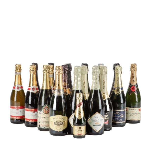 Champagne samt mousserende vine (22)