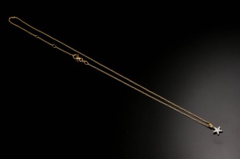Diamonds By Frisenholm. Halskæde med stjerneformet brillantvedhæng af 18 kt. guld