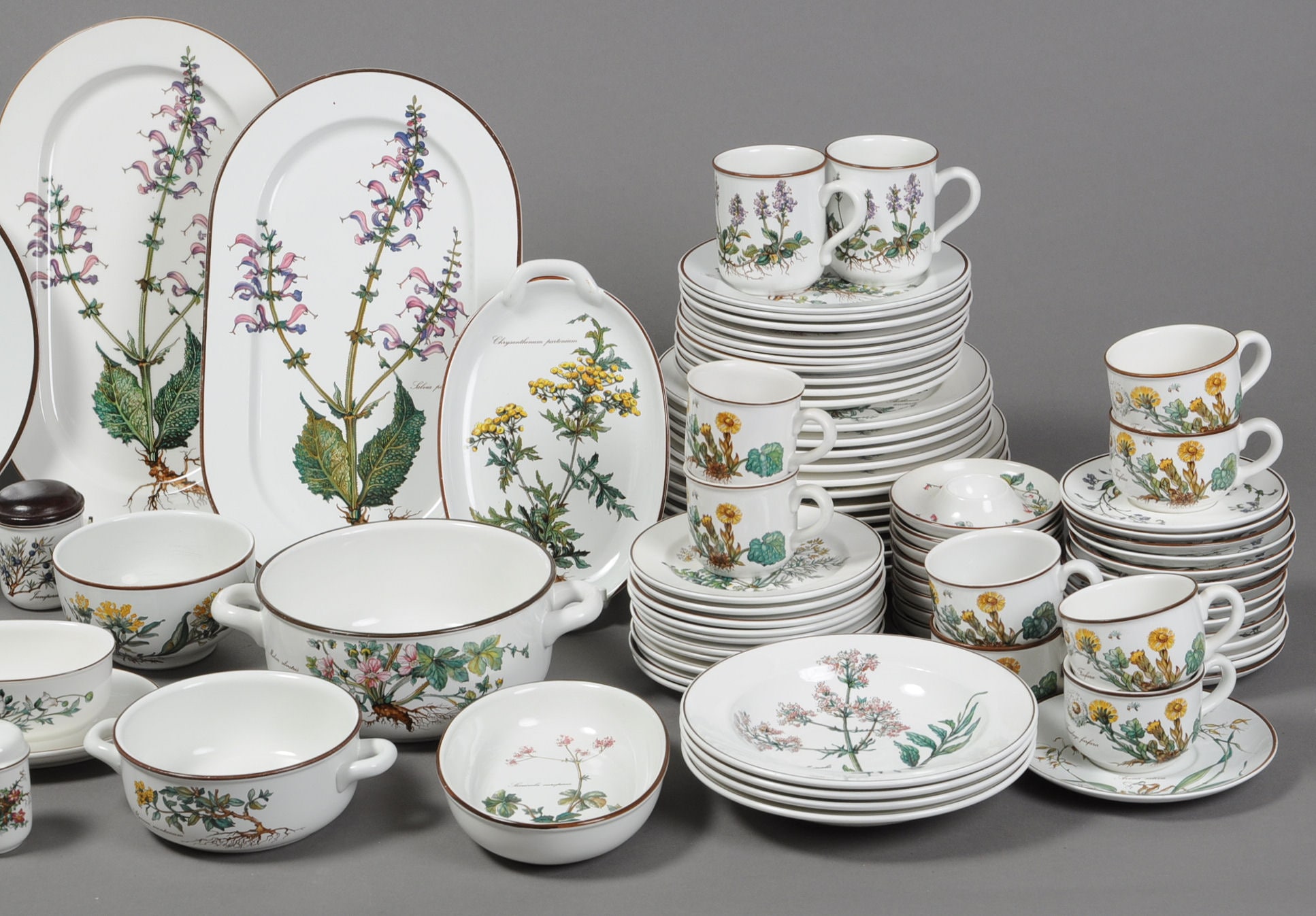 Villeroy & Boch. Botanica. Kaffe- og spisestel. (101) | Lauritz.com